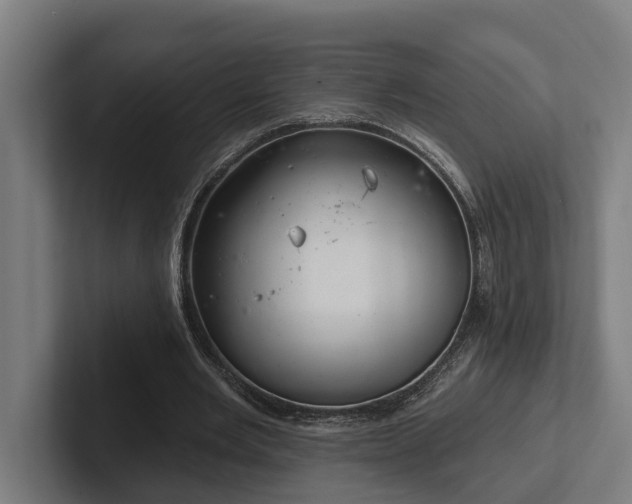 X0000102400485200808011549