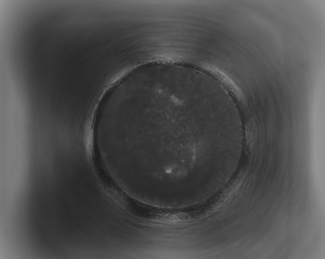 X0000102400488200808011549