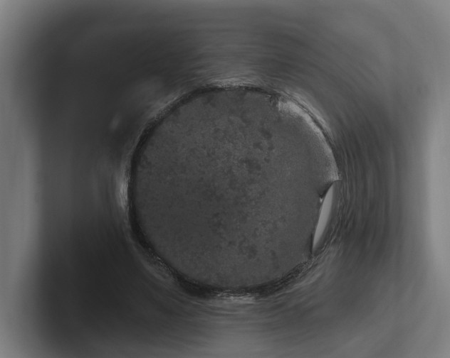 X0000102400491200808011549