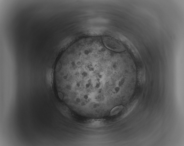 X0000102400495200808011549