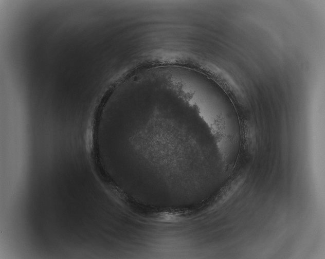 X0000102400496200808011549