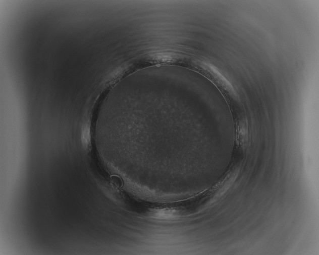 X0000102400500200808011549