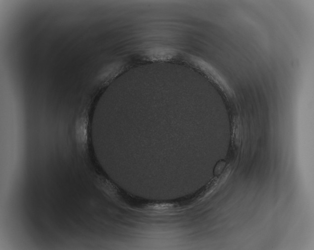 X0000102400501200808011549