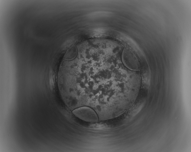 X0000102400503200808011549