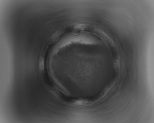 X0000102400504200808011549