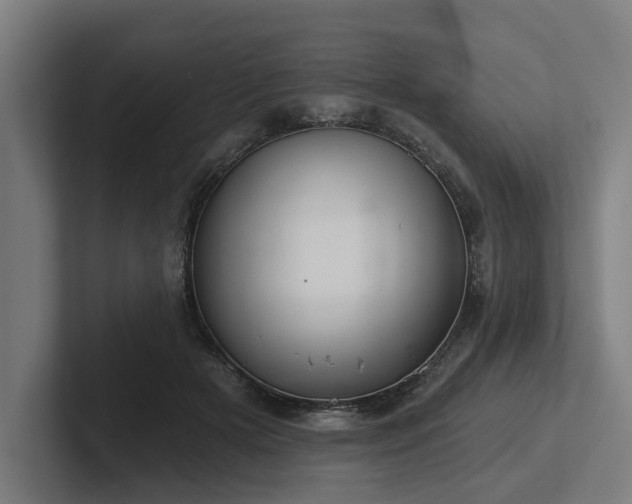 X0000102400505200808011549