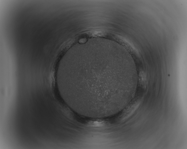 X0000102400506200808011549