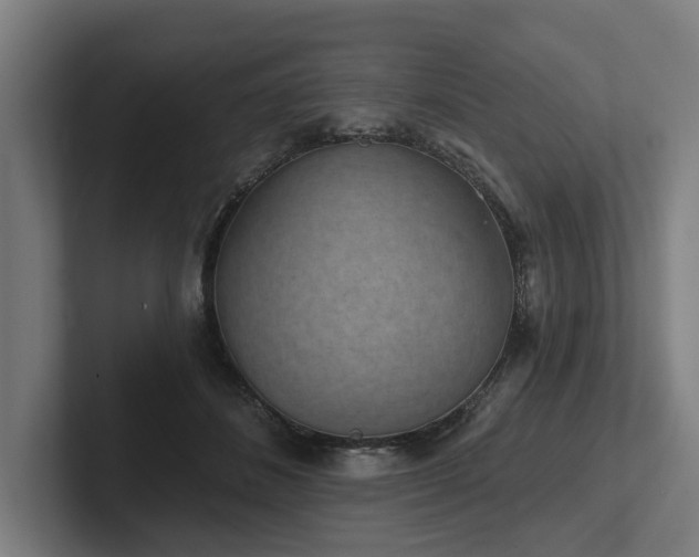 X0000102400508200808011549