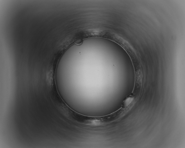 X0000102400509200808011549