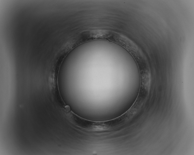 X0000102400510200808011549