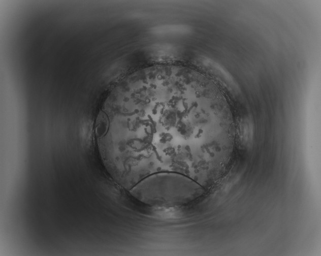 X0000102400511200808011549