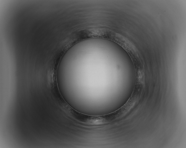 X0000102400514200808011549