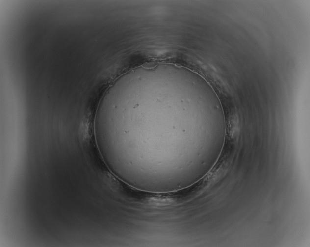 X0000102400515200808011549