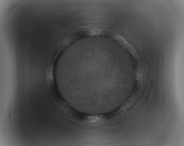 X0000102400516200808011549