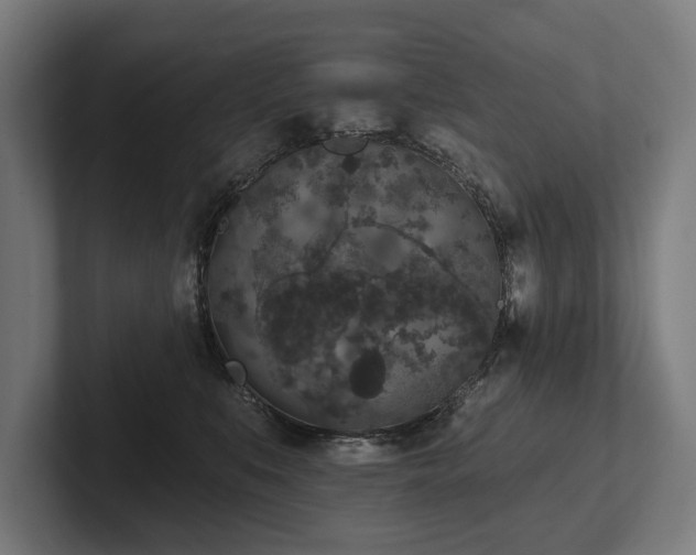 X0000102400519200808011549