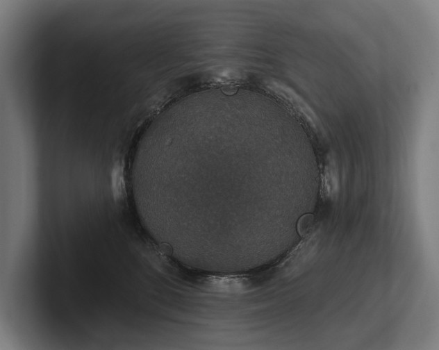 X0000102400520200808011549