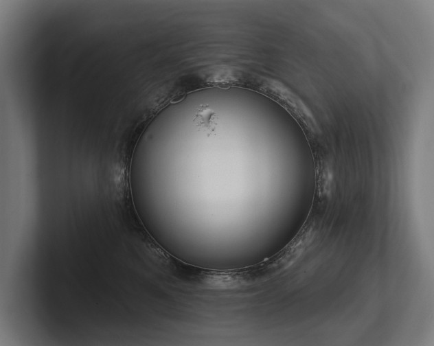 X0000102400521200808011549