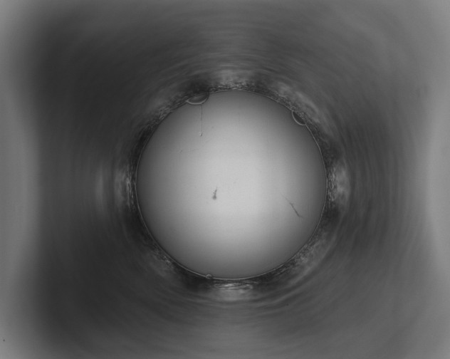 X0000102400522200808011549