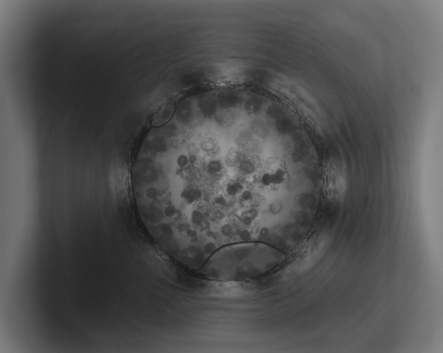 X0000102400523200808011549