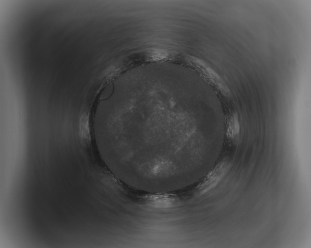 X0000102400524200808011549