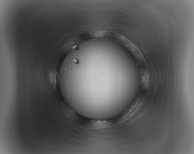 X0000102400525200808011549