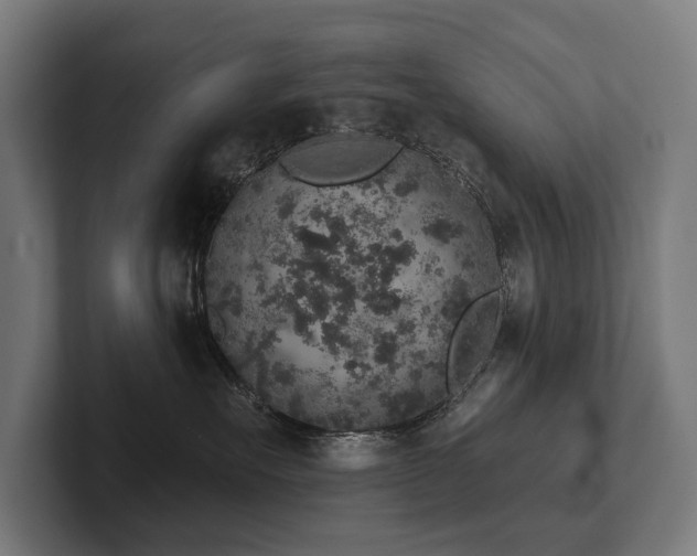 X0000102400527200808011549