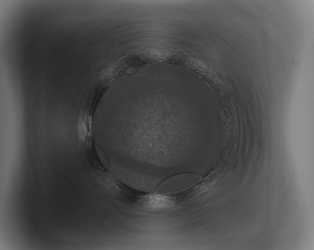 X0000102400528200808011549