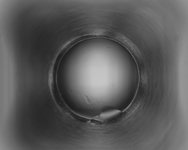 X0000102400532200808011548