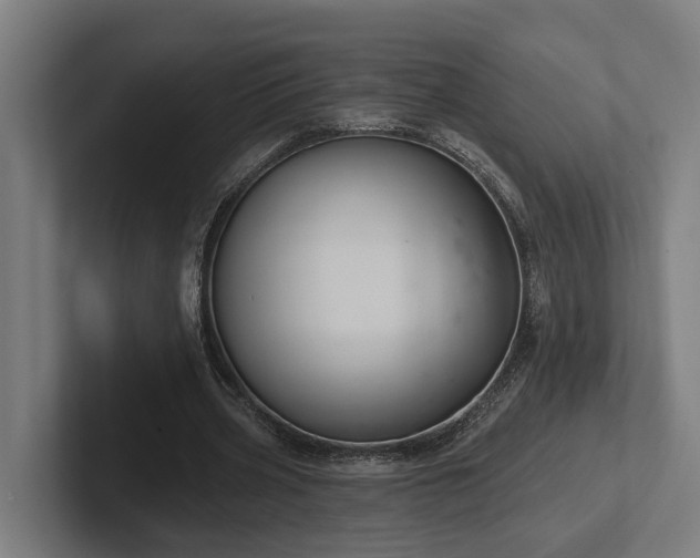 X0000102400533200808011548