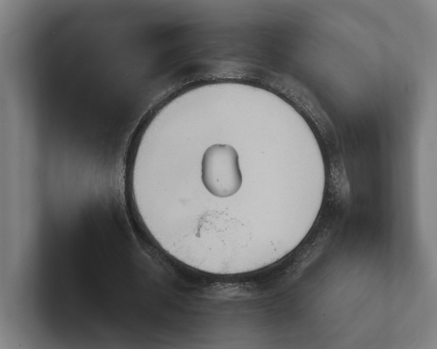 X0000102400534200808011548