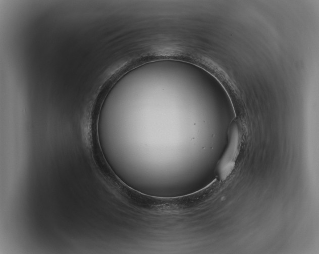 X0000102400535200808011548