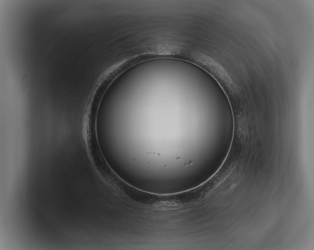 X0000102400536200808011548