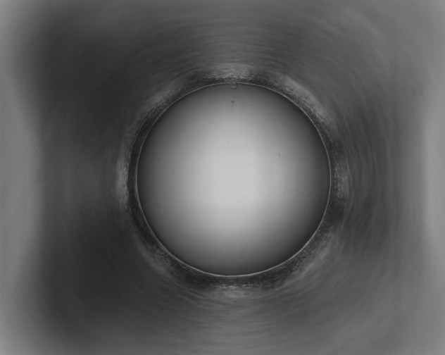 X0000102400538200808011548