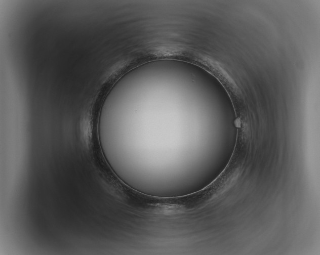 X0000102400539200808011548