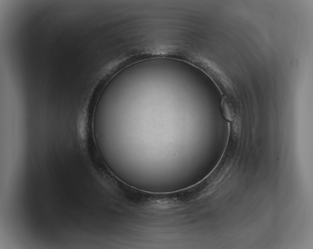 X0000102400540200808011548