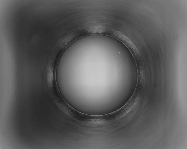 X0000102400541200808011548