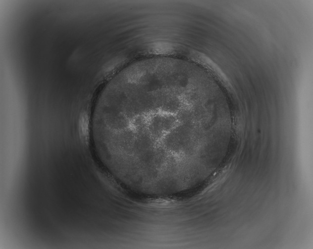 X0000102400542200808011548