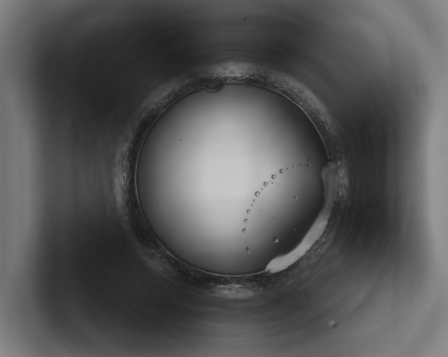 X0000102400544200808011548