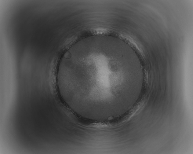 X0000102400545200808011548