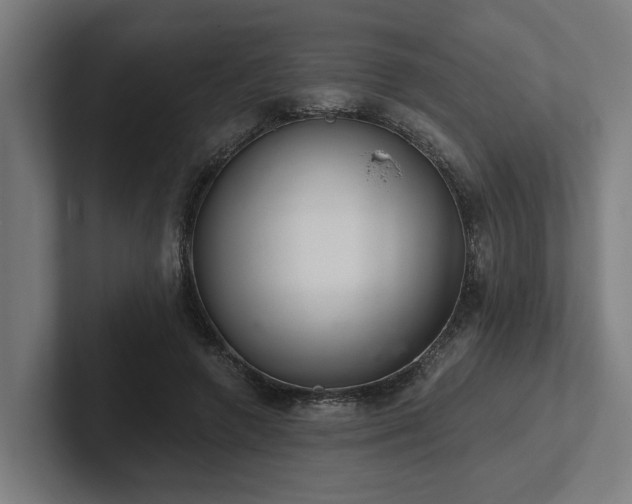 X0000102400546200808011548