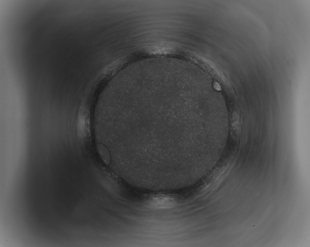 X0000102400547200808011548