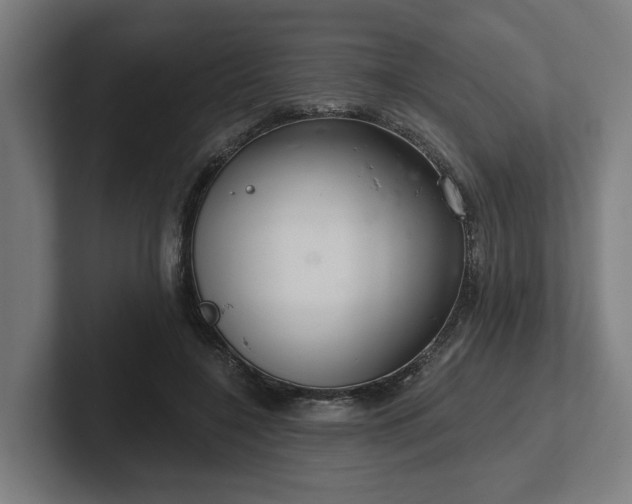 X0000102400548200808011548