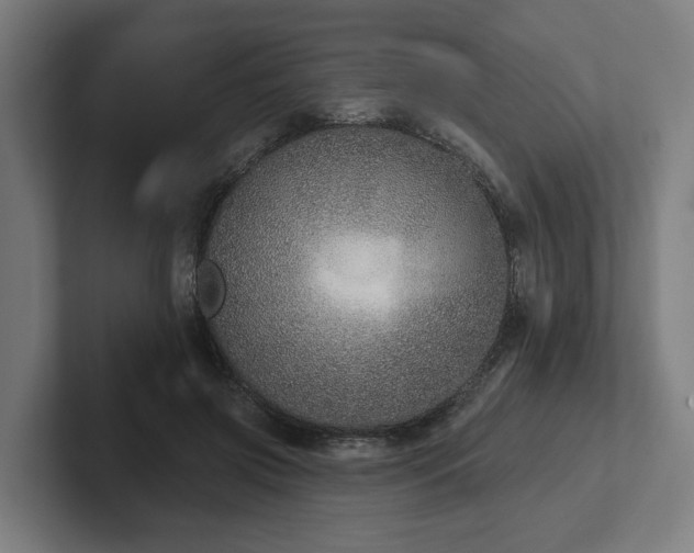 X0000102400549200808011548