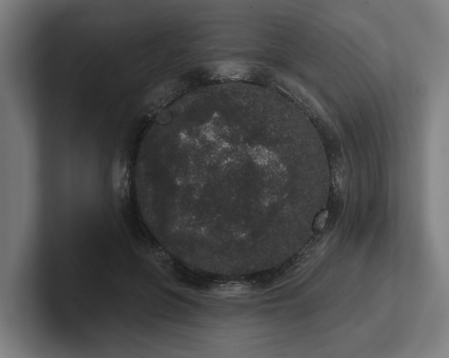 X0000102400551200808011549