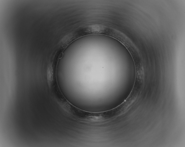 X0000102400552200808011549