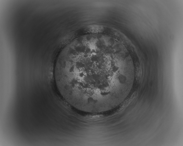 X0000102400553200808011549