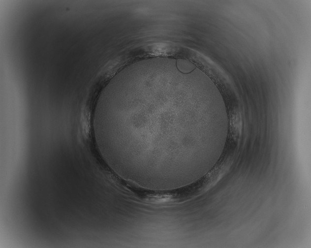 X0000102400554200808011549