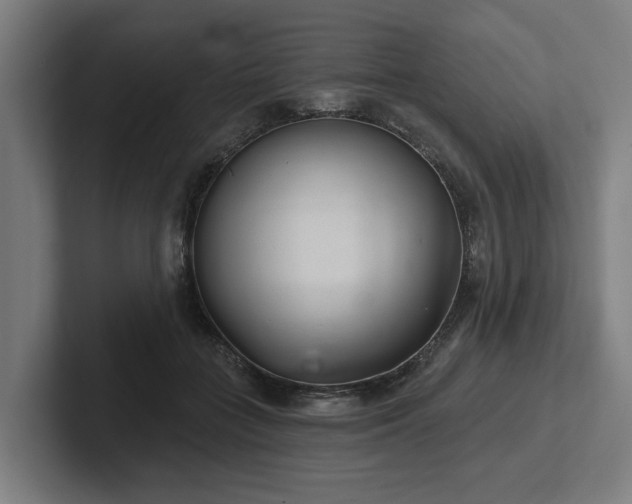 X0000102400555200808011549