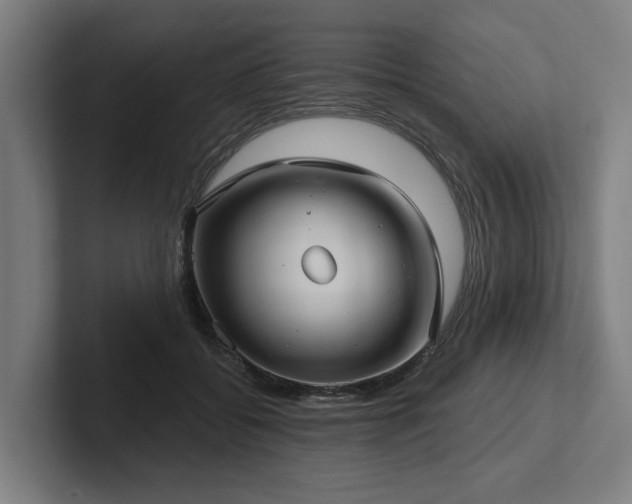 X0000102400556200808011549