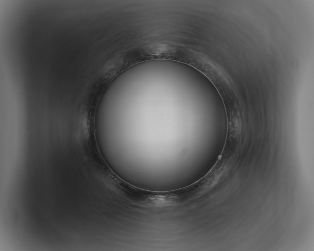 X0000102400558200808011549